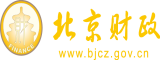 17.c操bb北京市财政局