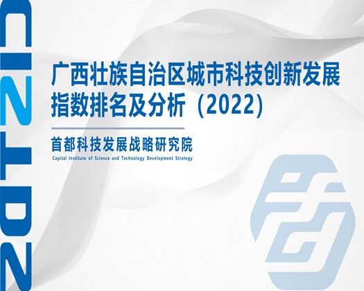 色日草【成果发布】广西壮族自治区城市科技创新发展指数排名及分析（2022）